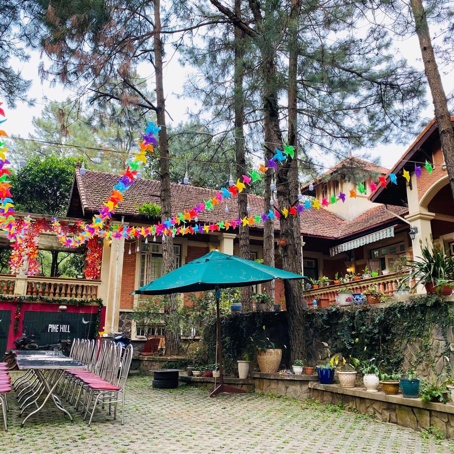 Pine Villa 1 - Căn biệt thự đậm chất Pháp trên đồi thông