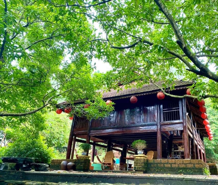 Nhà sàn Ngọc Lan - Pine Hill Villas & Camping