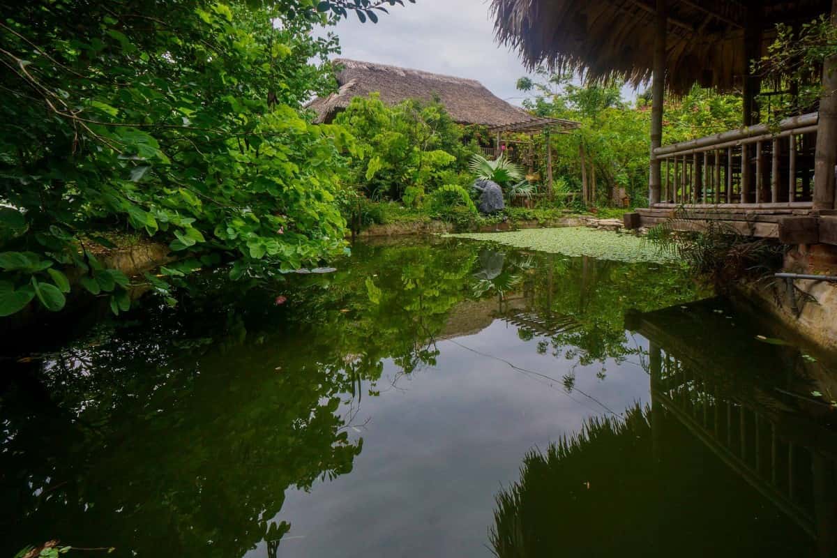 Hoa Mai Viên Villa - Biệt thự với không gian xanh mát