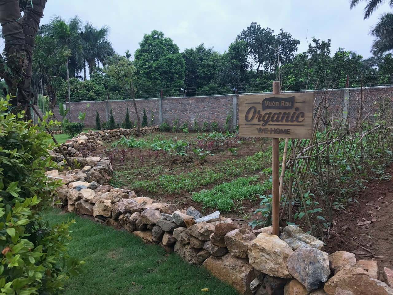 khong gian wehome nha la homestay hoa binh