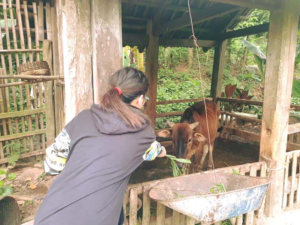 hoat dong tai muong bi homestay homestay hoa binh