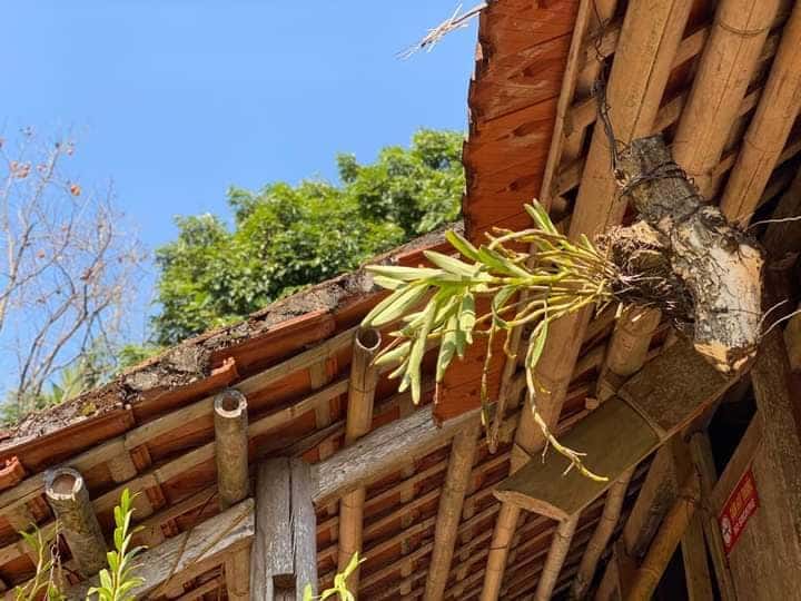 khong gian muong bi homestay homestay hoa binh