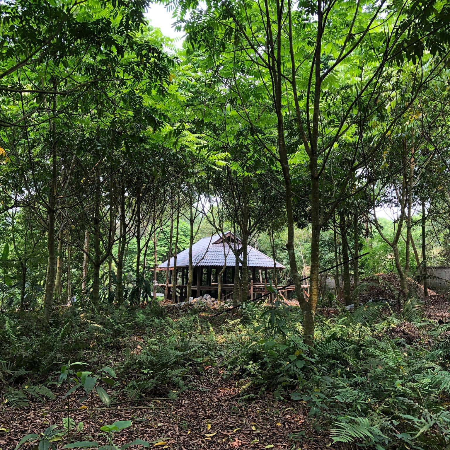 khong gian farmstay b e e vuon co thom homestay hoa binh