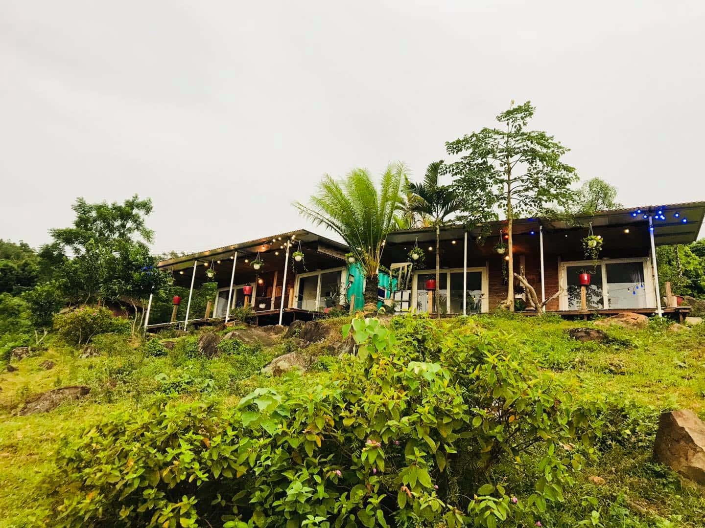 Mít Hilltop – Độc lạ từ cái tên đến phong cách thiết kế