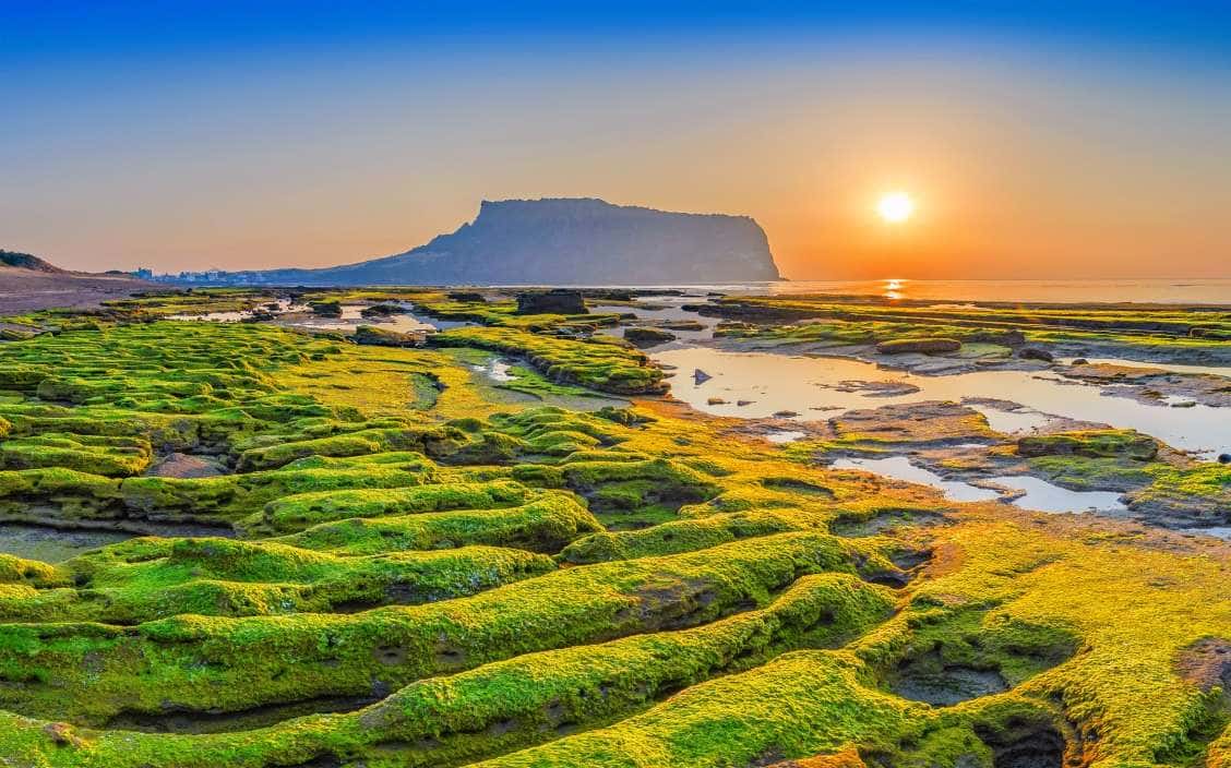 Jeju-si