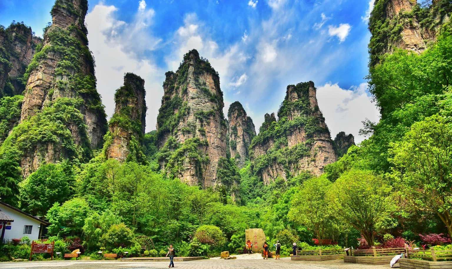 Trương Gia Giới