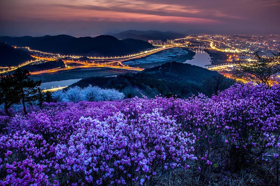 Daegu