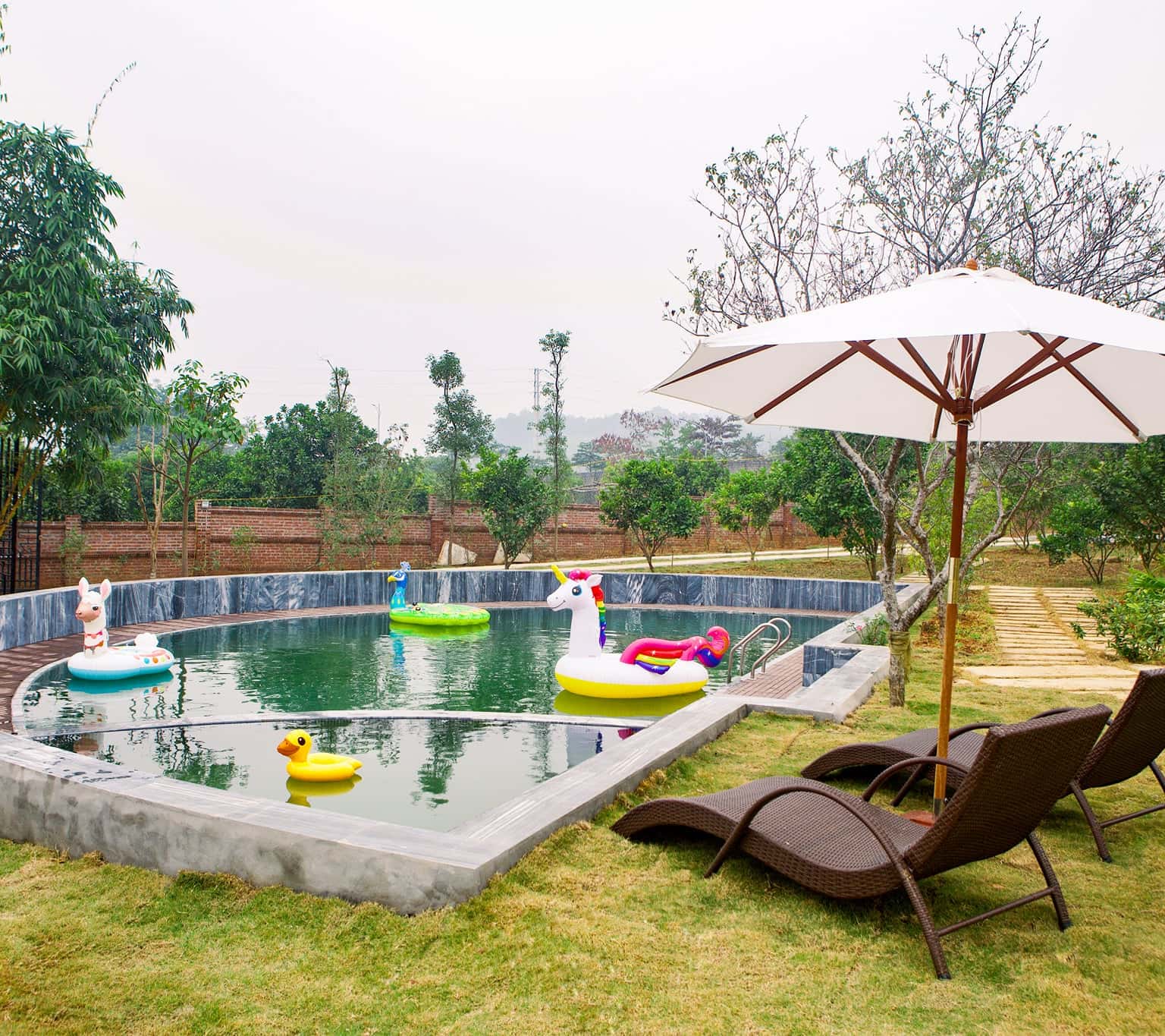 Queen Bee Homestay & Restaurant – Nơi dừng chân tuyệt vời tại núi rừng Hà Giang