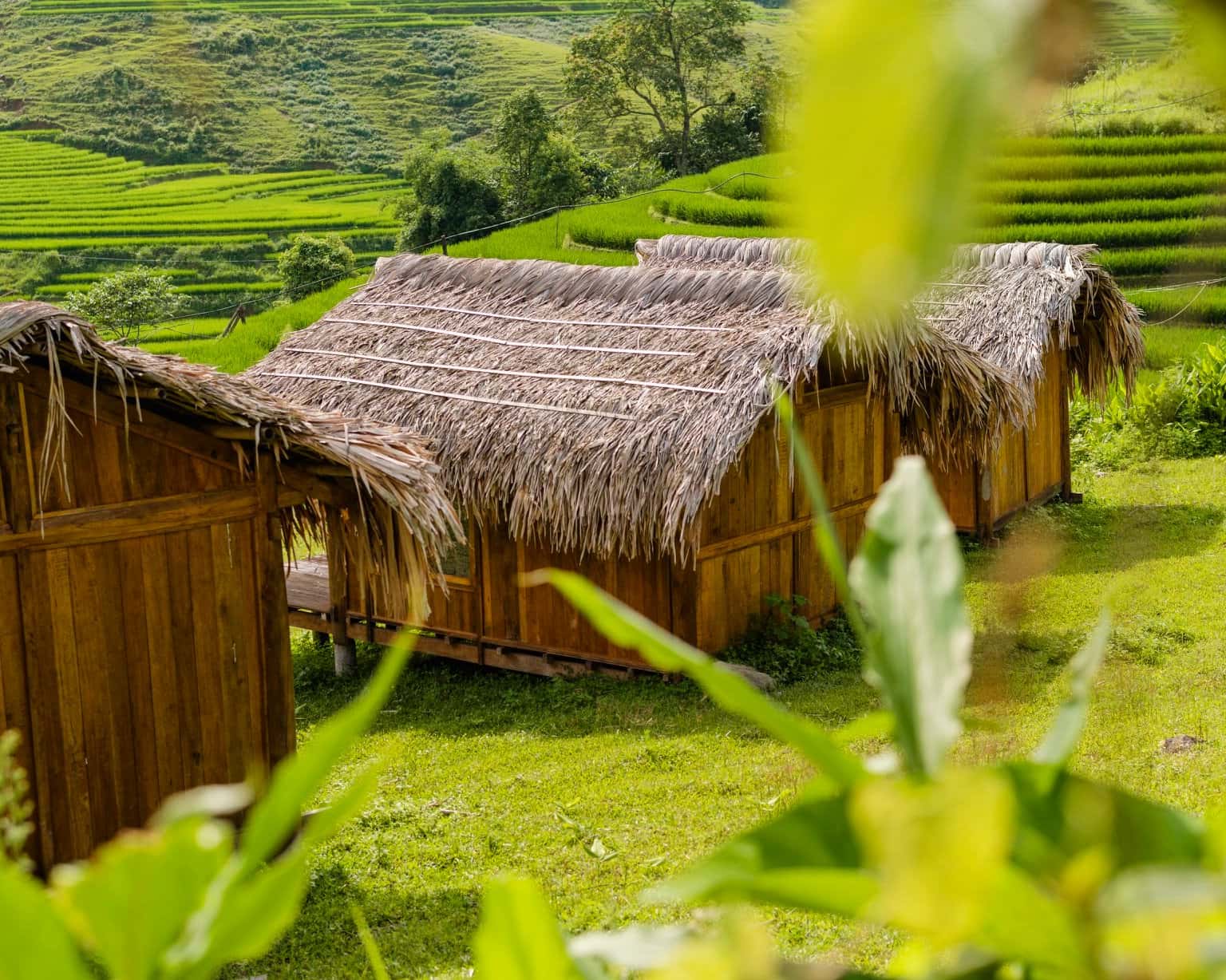 Utopia Eco Lodge - "Ngôi Nhà Nhỏ Trên Thảo Nguyên" Tại Sapa