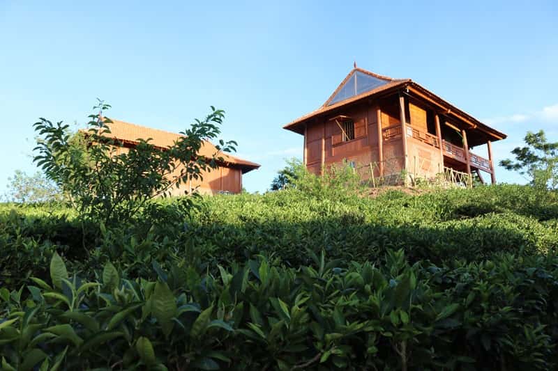 Mộc Châu Arena Village - Thiên đường nghỉ dưỡng giữa đồi chè xanh