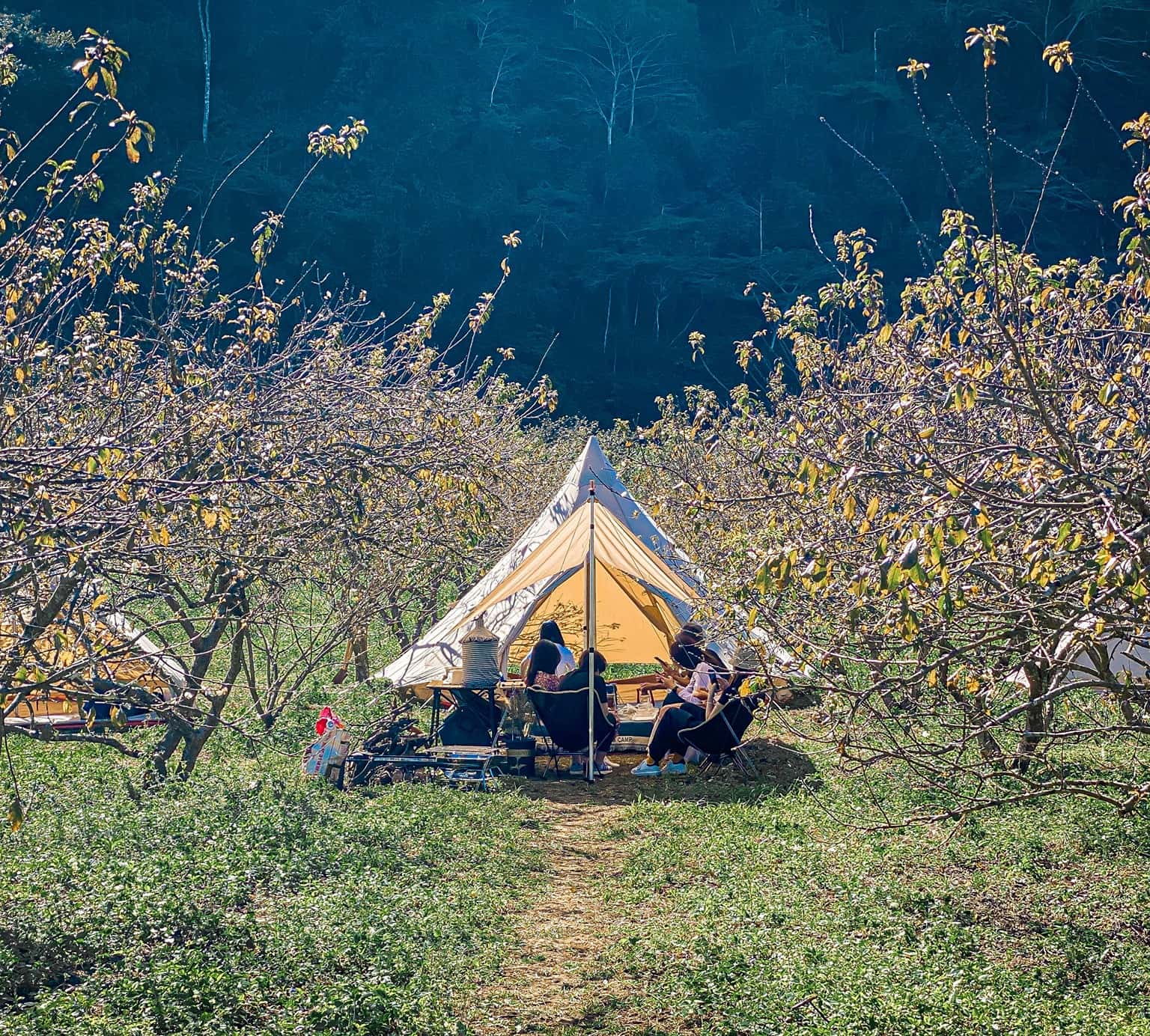 The Camp Mộc Châu – Trải nghiệm mới lạ cho chuyến du hí