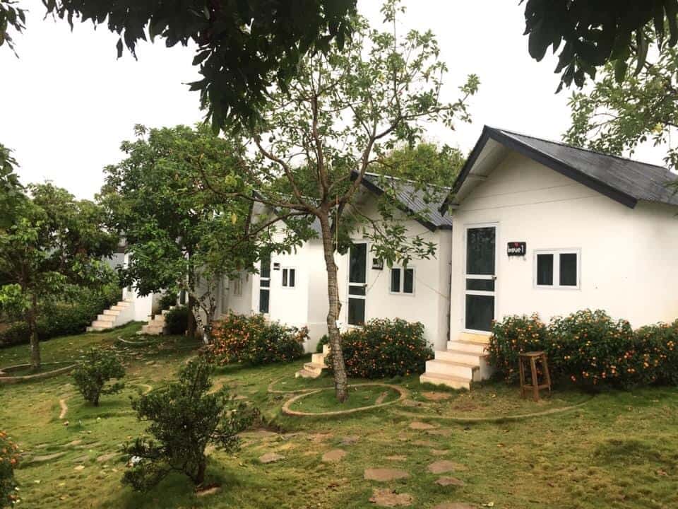 Đồi House - Nhà của yêu thương
