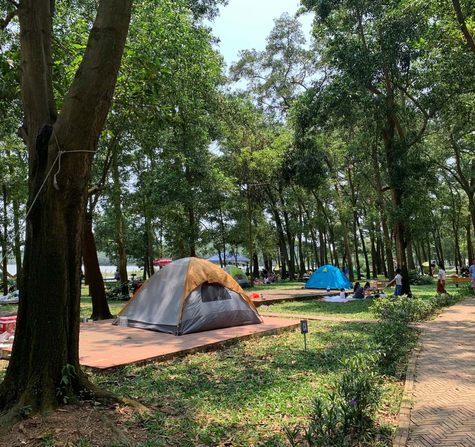 ham rong lakeside dia diem du lich soc son ha noi