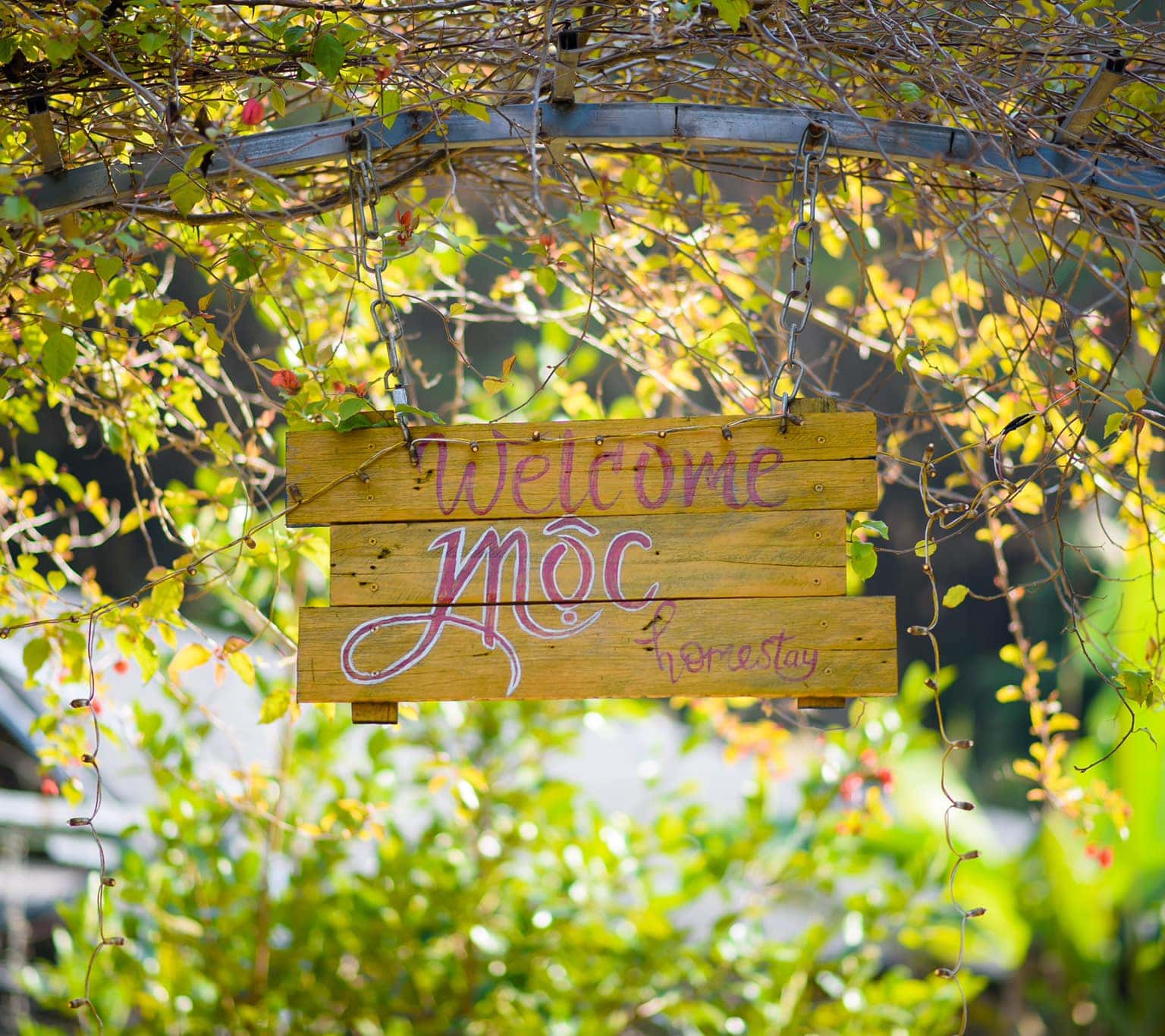 “Mộc Homestay” - nơi nghỉ dưỡng không thể bỏ qua khi đến Mộc Châu 