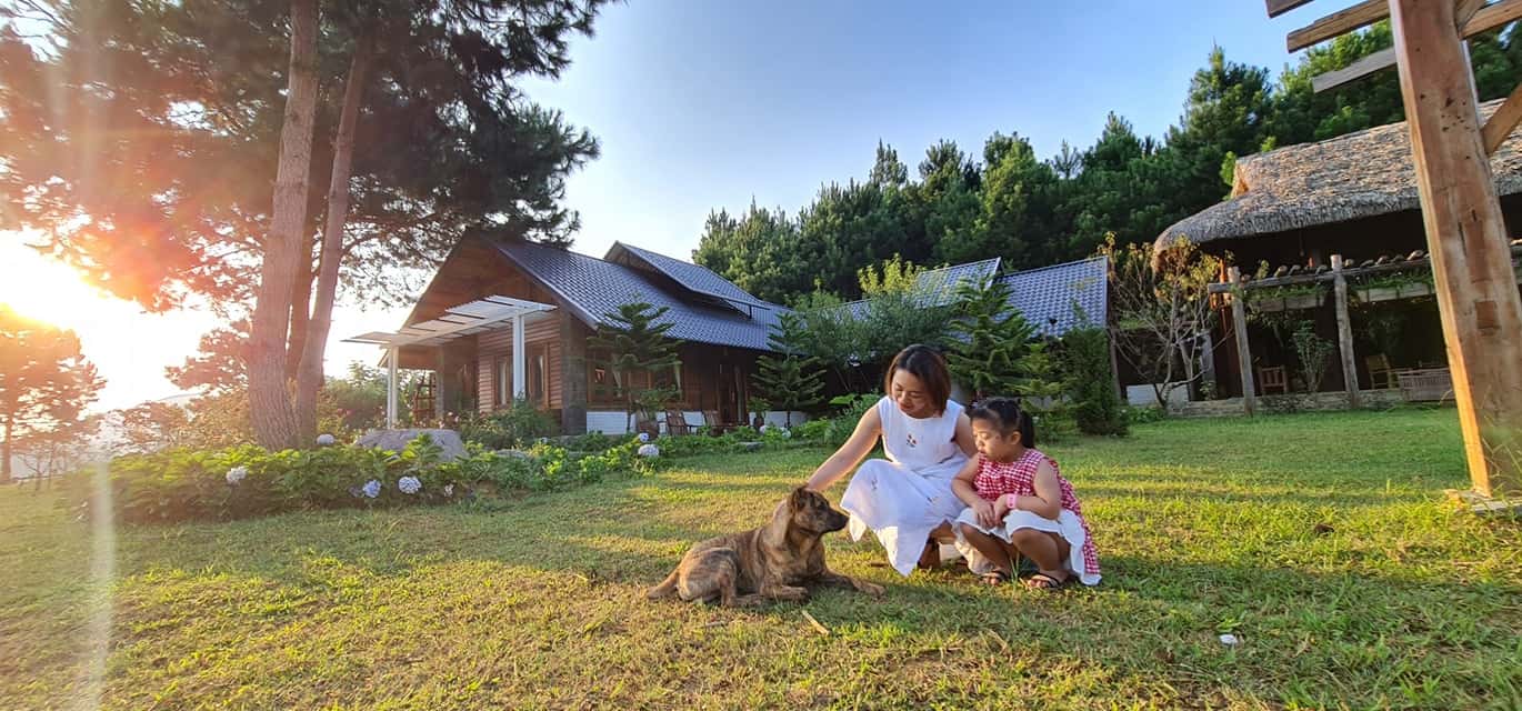 Top 16 homestay, resort Mộc Châu đẹp ngất ngây