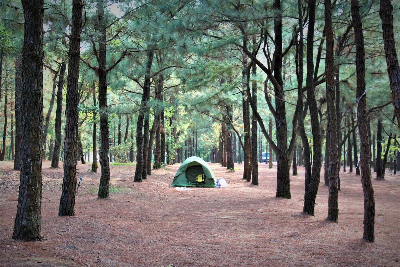 khu du lich sinh thai thien phu lam 