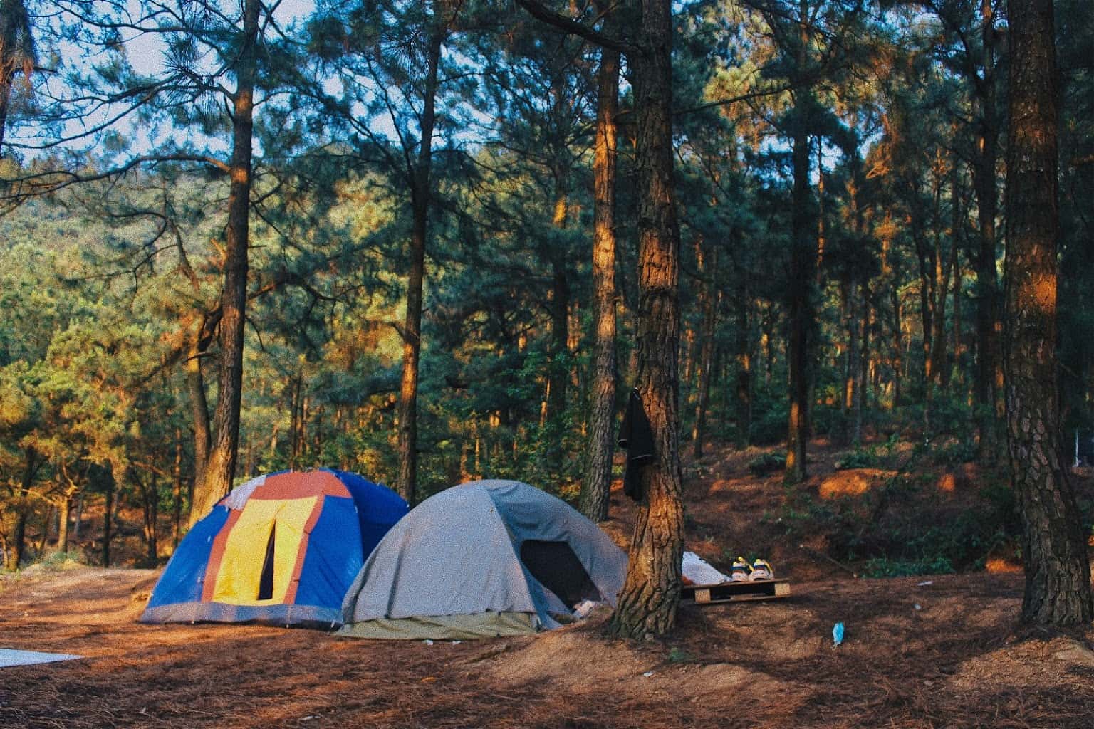 khu du lich sinh thai thien phu lam 