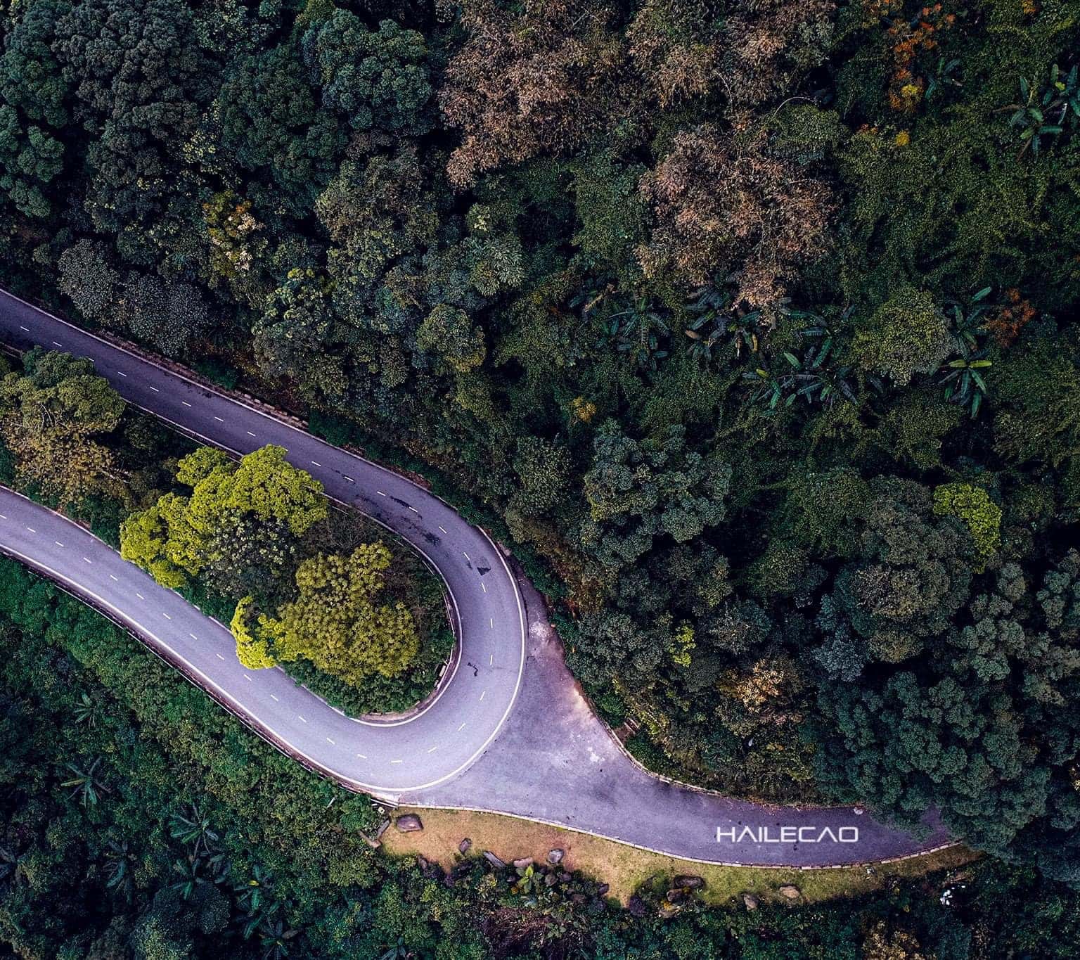 vuon quoc gia ba vi ha noi