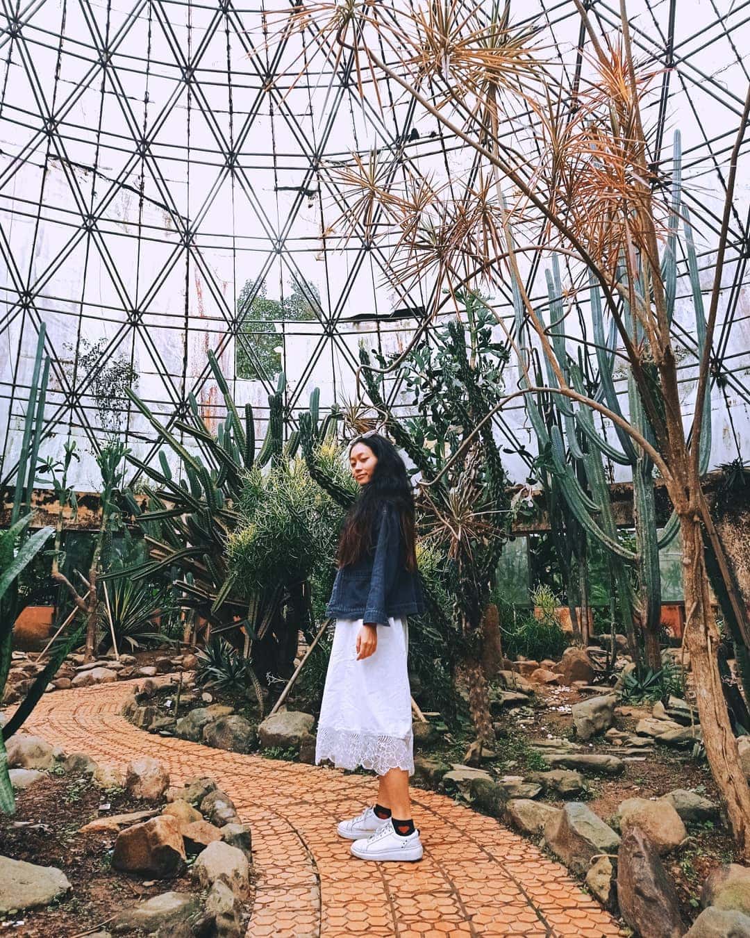 vuon quoc gia ba vi ha noi