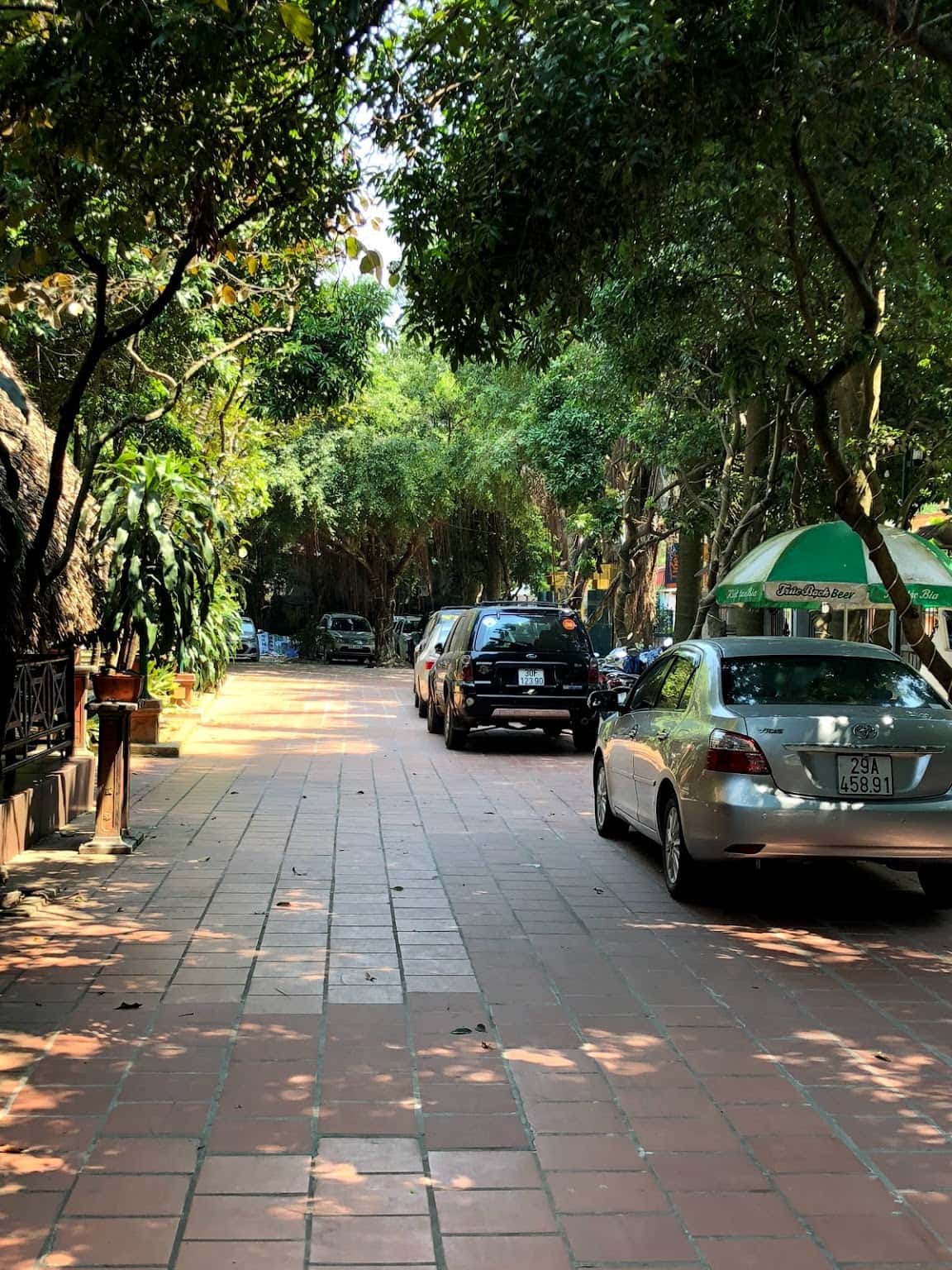 nha hang la co minh hoa ba vi ha noi