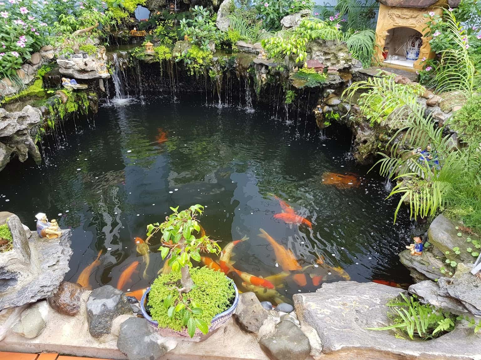 nha hang ba vi restaurant ba vi ha noi