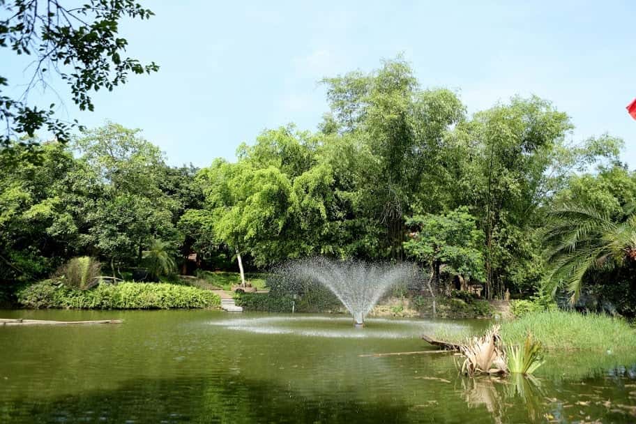 khu du lich sinh thai long viet ba vi ha noi