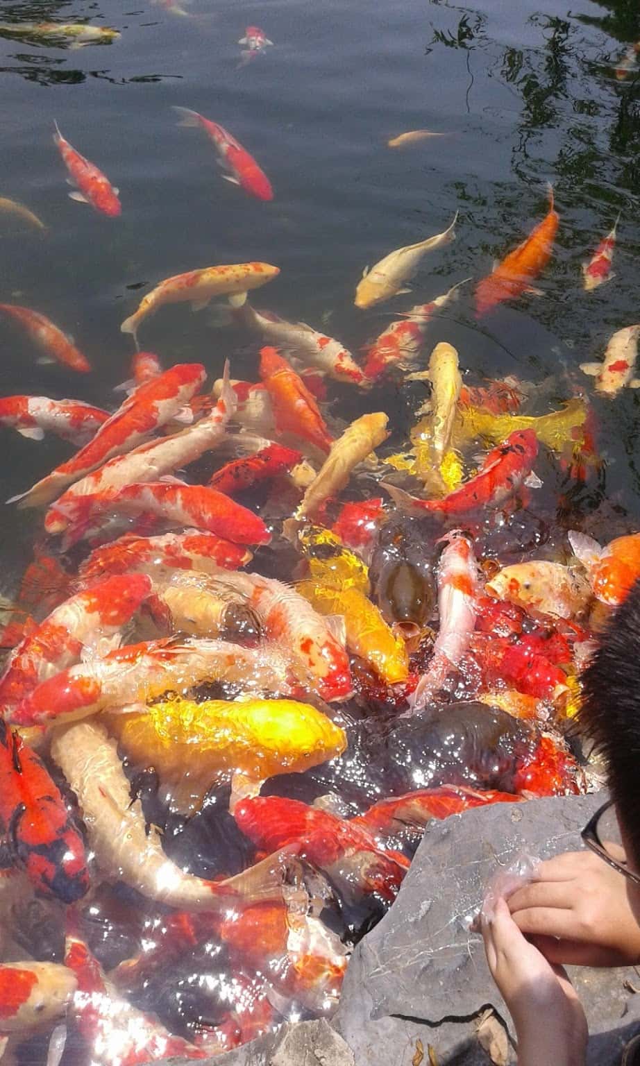 nha hang ngoc linh eco garden soc son 