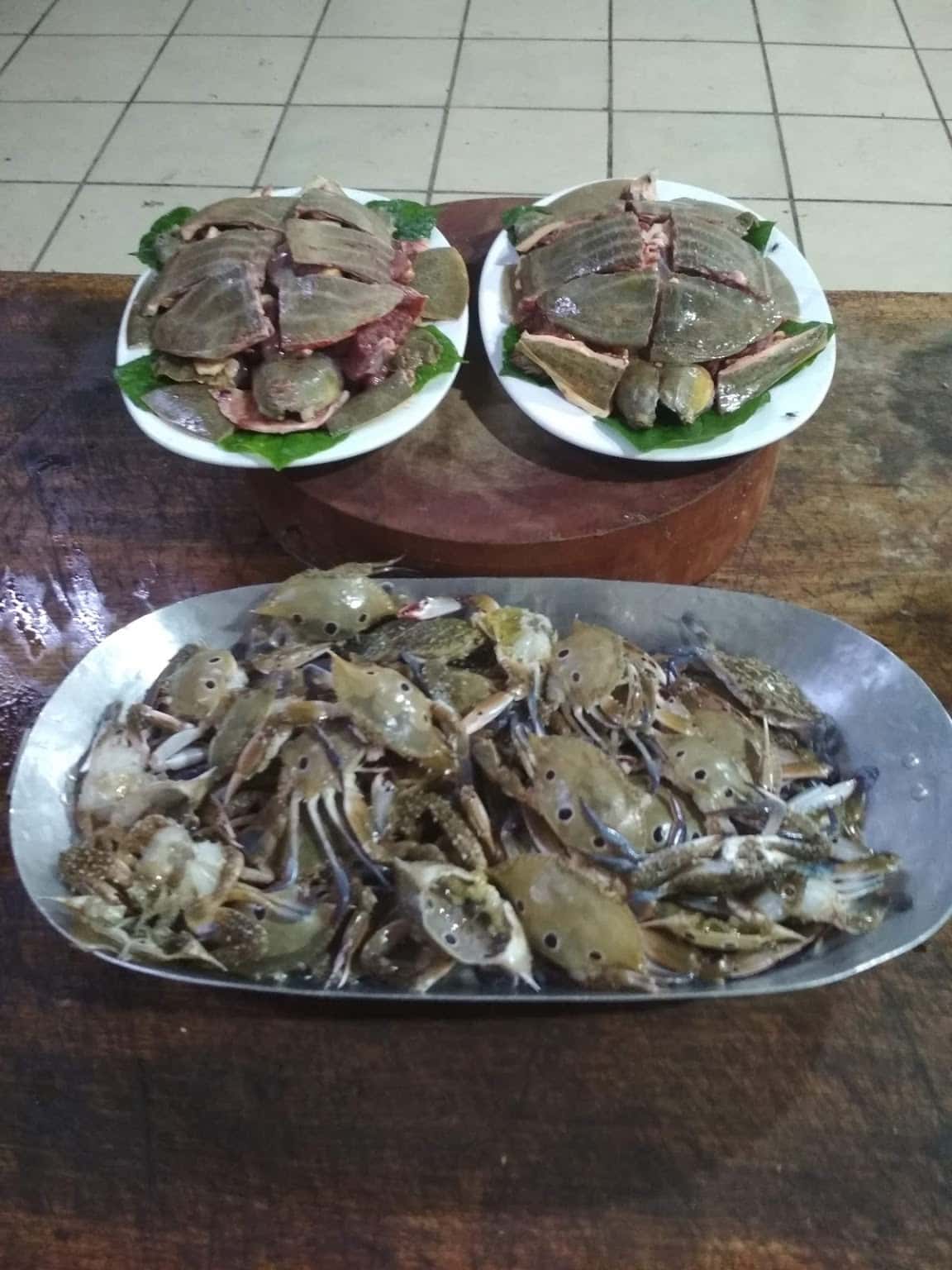 nha hang hai nga soc son