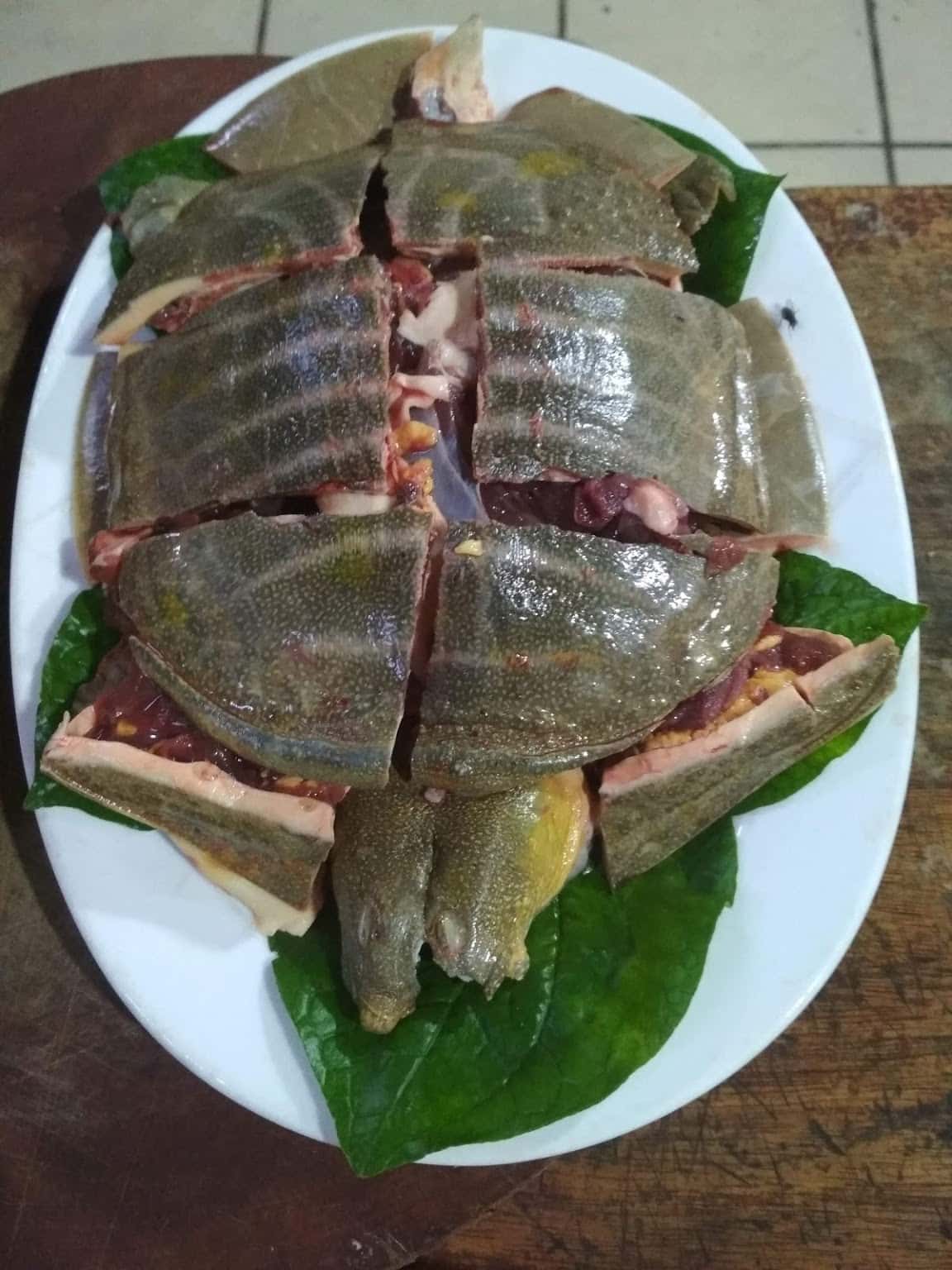 nha hang hai nga soc son