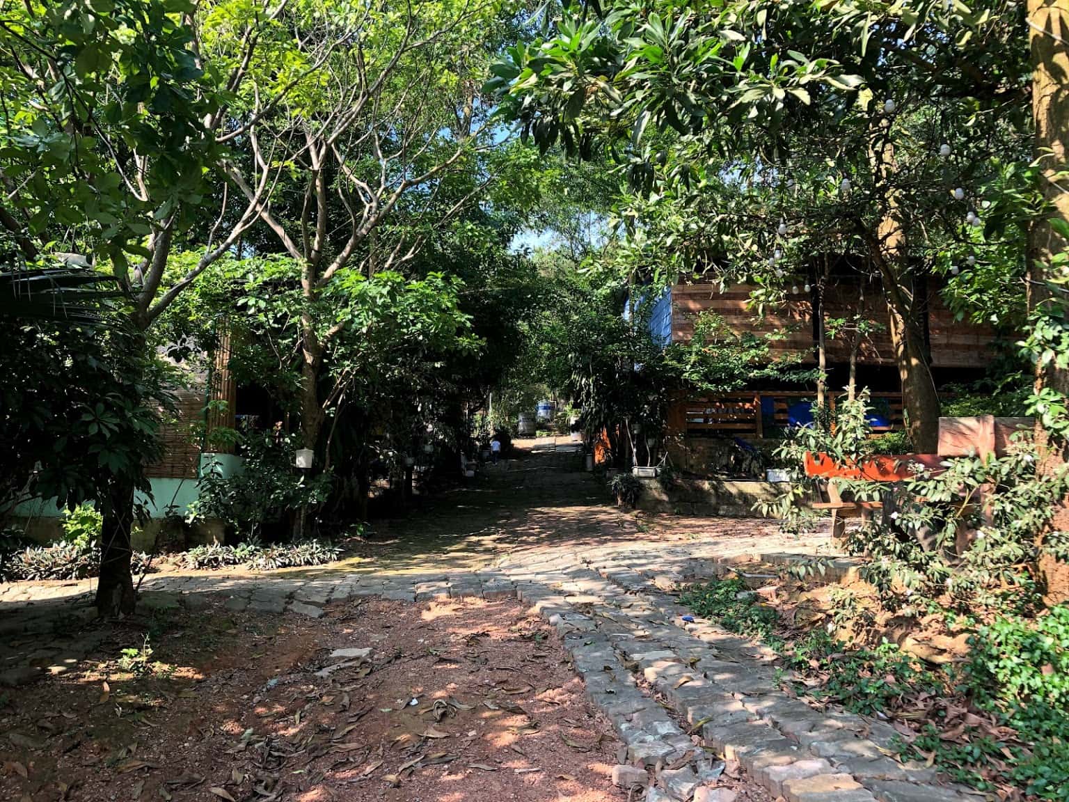 nha hang huong rung soc son