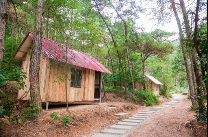 khu du lich sinh thai thien phu lam soc son