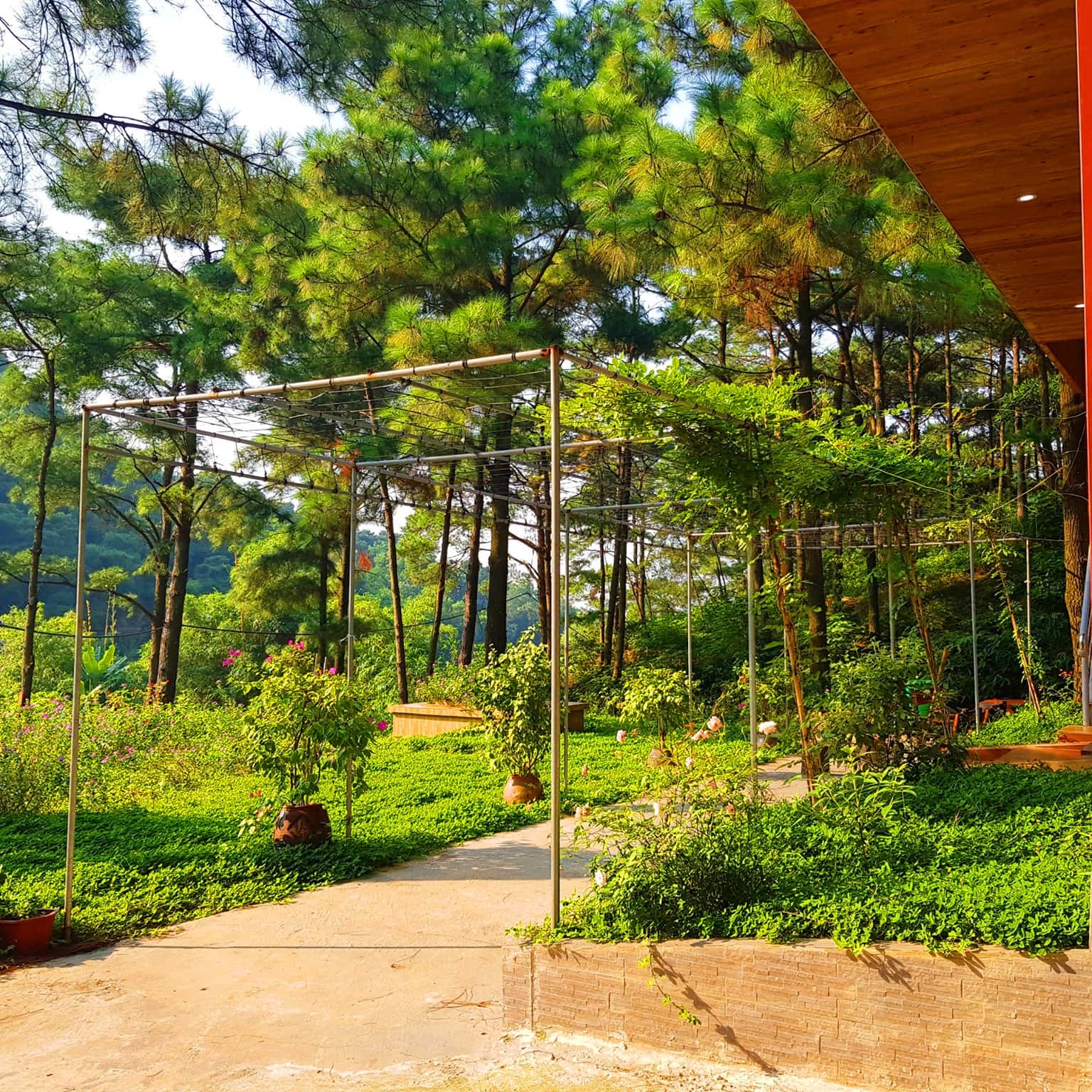  nha hoa giay khu du lich sinh thai thien phu lam soc son