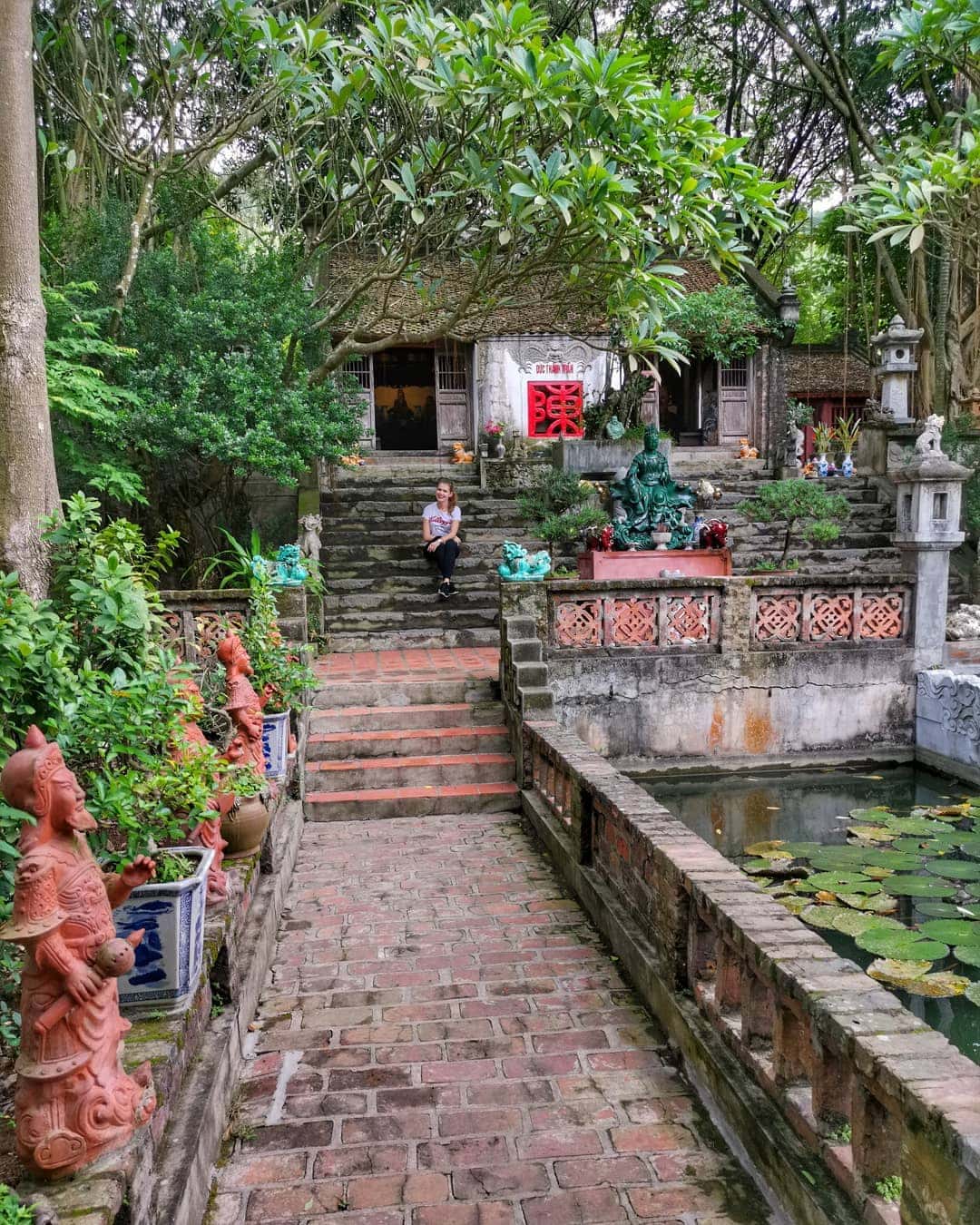 viet phu thanh chuong soc son