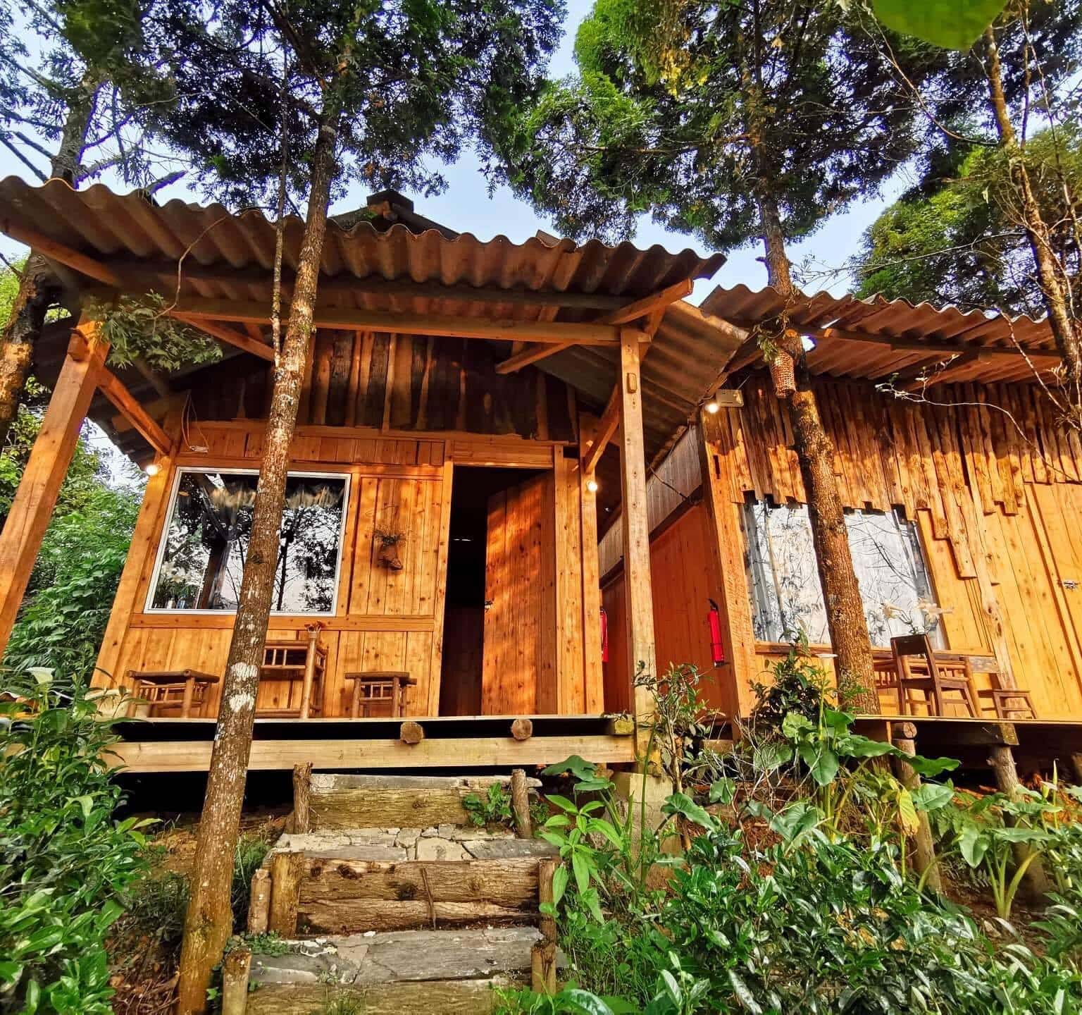Sapa Jungle Homestay- Mật động giữa rừng già Tây Bắc cho tâm hồn thanh bình