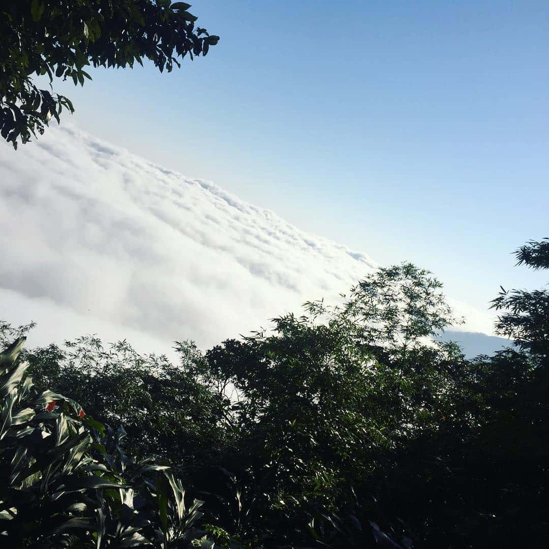 thap truyen hinh tam dao vinh phuc