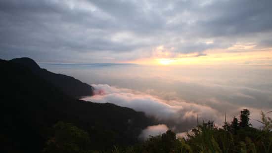 dinh rung rinh tam dao vinh phuc