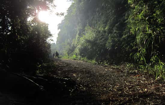 dinh rung rinh tam dao vinh phuc