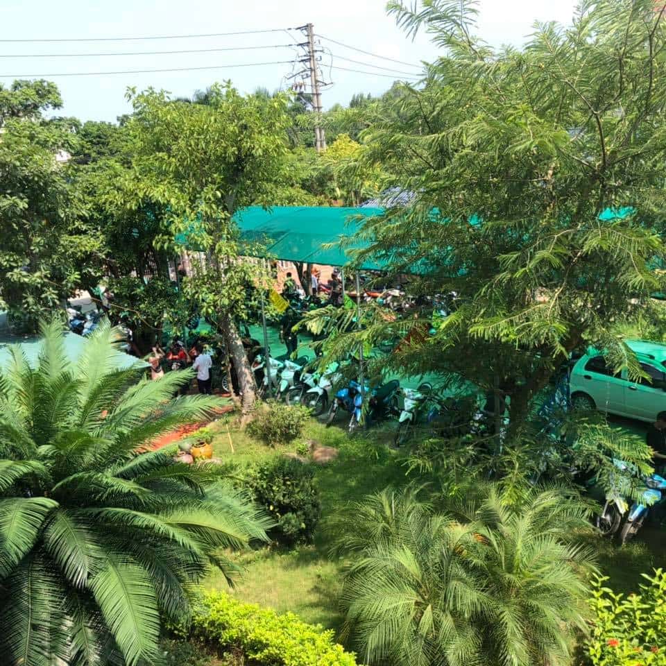 nha hang hoa rung tam dao
