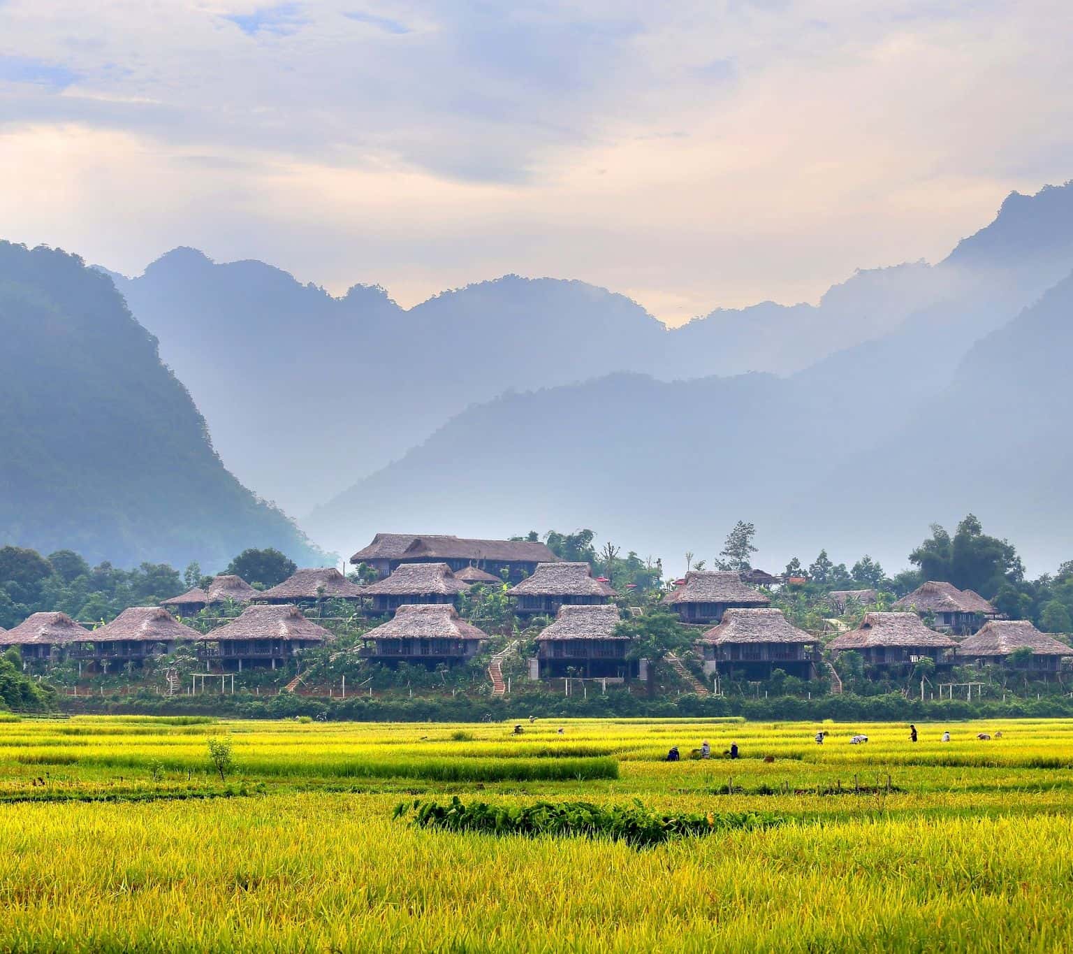 Review Mai Châu Ecolodge AZ - Ốc đảo ánh sáng giữa thung lũng Mai Châu