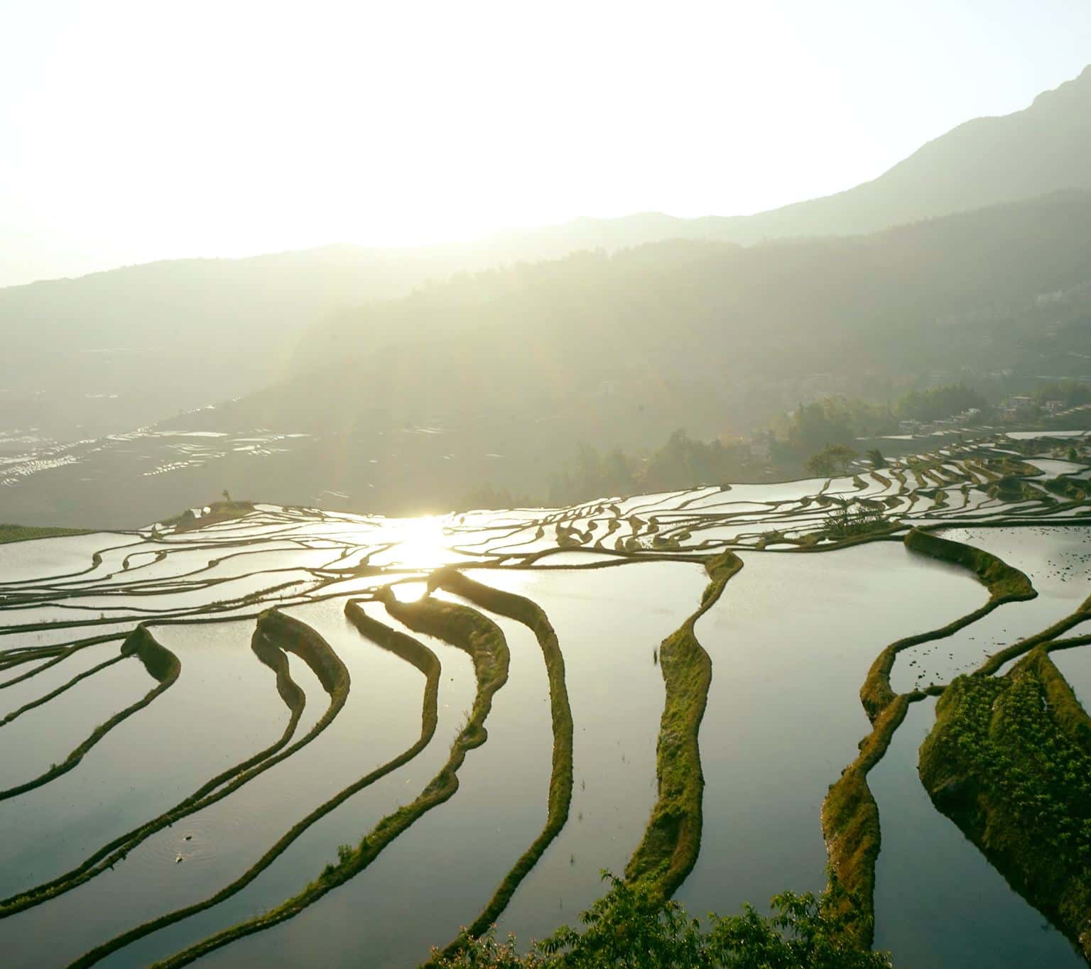 Về Saigonese Villa De Sapa nghe bình yên