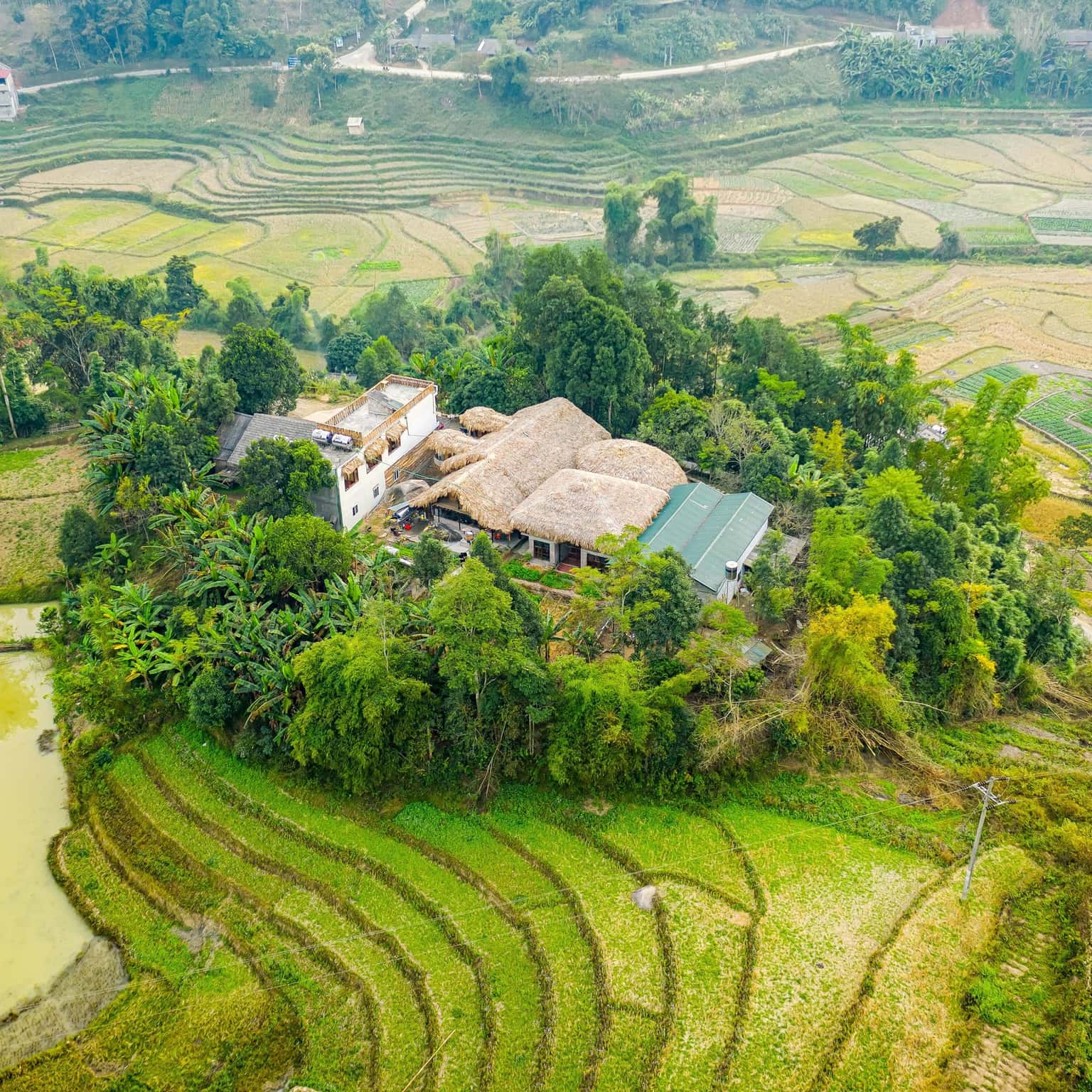 Maiecolife - Thiên đường nghỉ dưỡng xanh