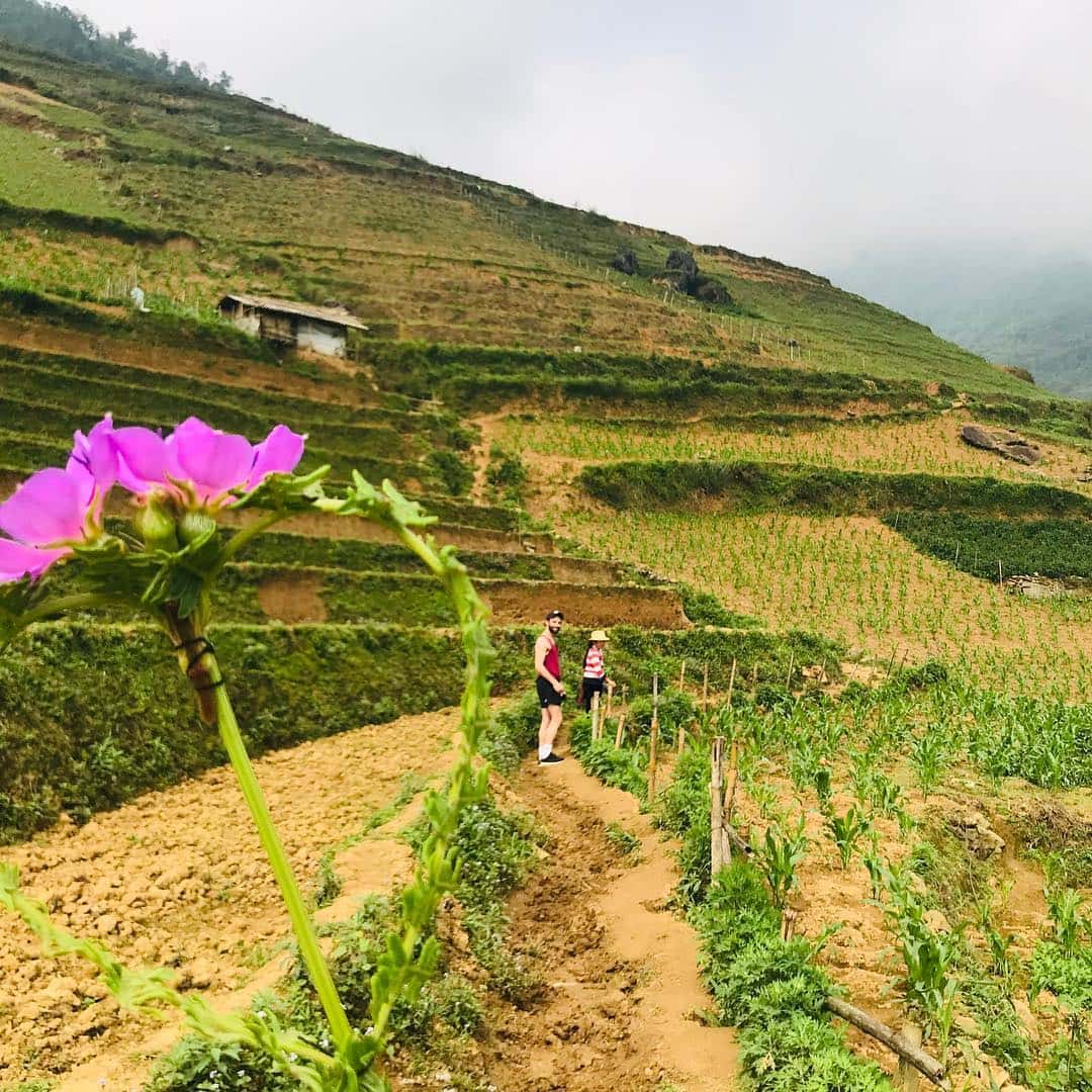 Du lịch Sapa mùa nào đẹp, tháng mấy?