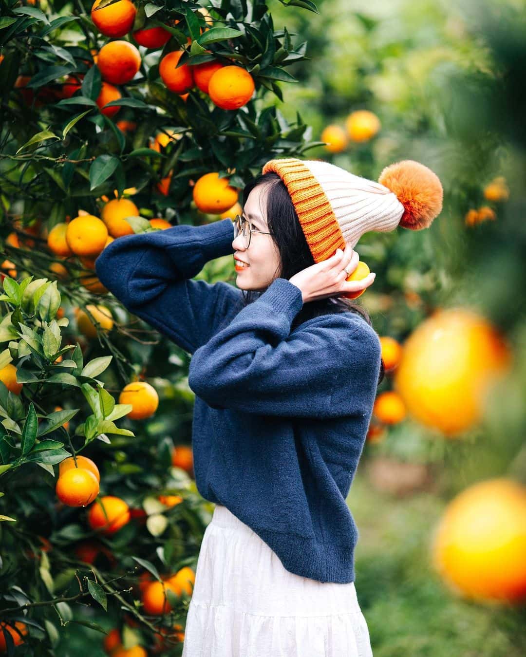 cam cao phong hoa binh