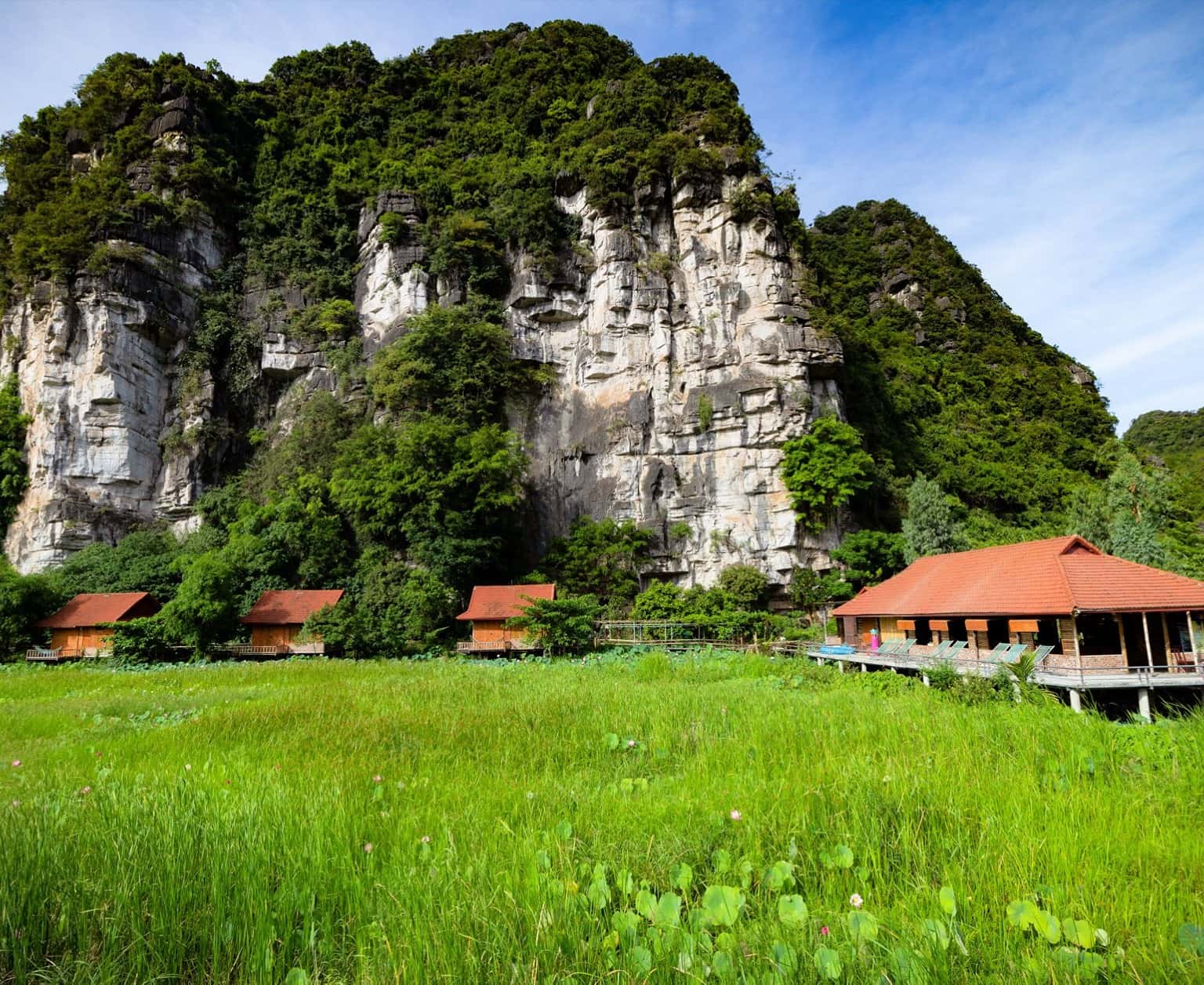 Lotus Field HomeStay Ninh Bình