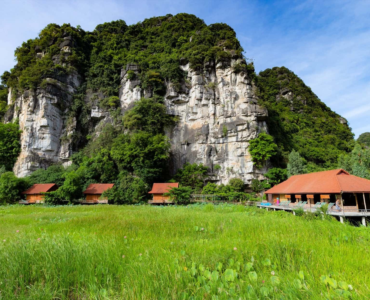 Lotus Field HomeStay Ninh Bình