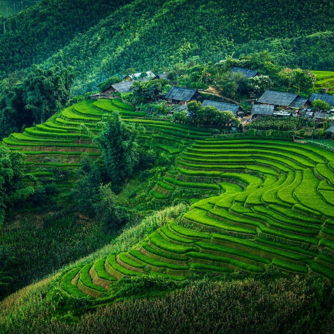 Kinh nghiệm đi du lịch Sapa cho gia đình có trẻ nhỏ