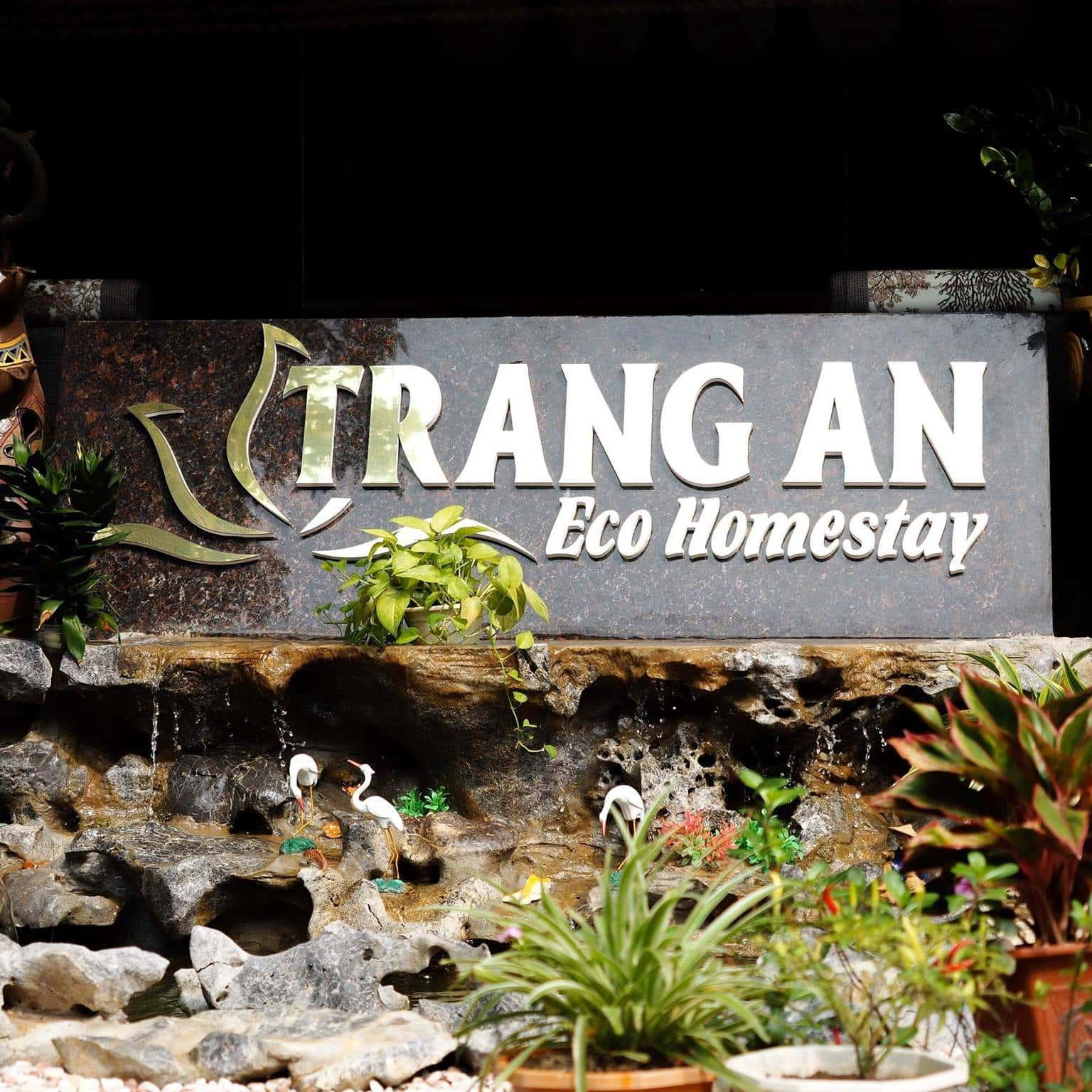 Tràng An Eco Homestay - Khu resort mang danh homestay
