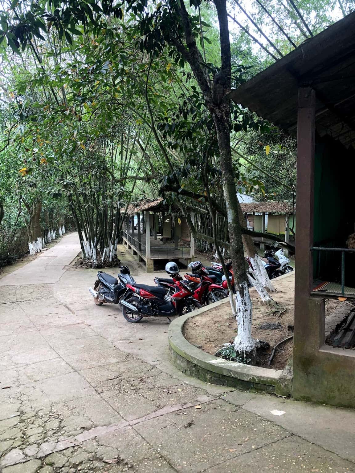 doi co ngoc nhi ba vi