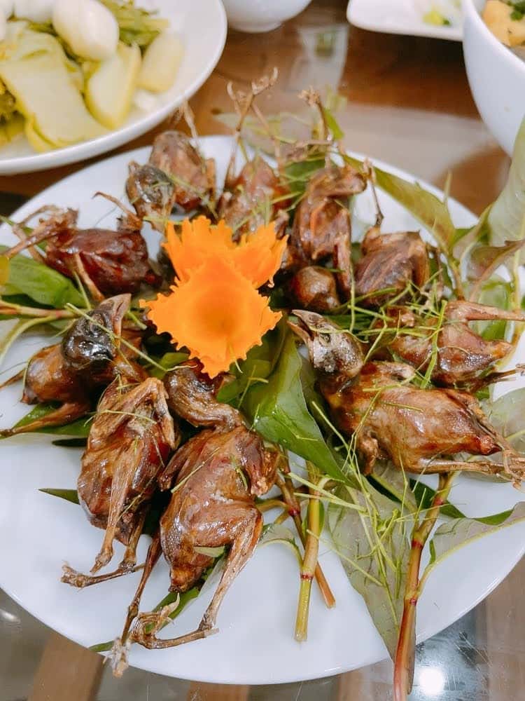 quan tu lun ba vi