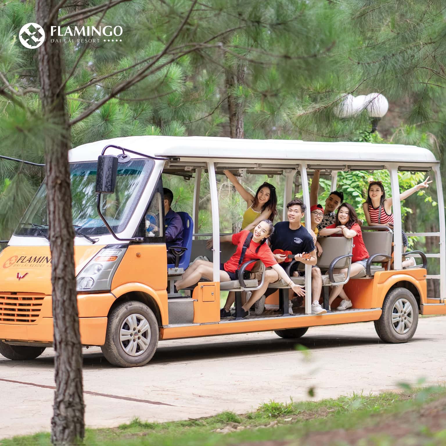 xe dien dua don tai flamingo dai lai resort 